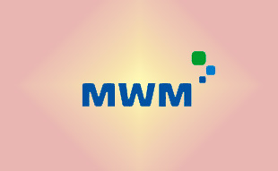 ✓ MWM 0336 8205 Запчасть MWM 